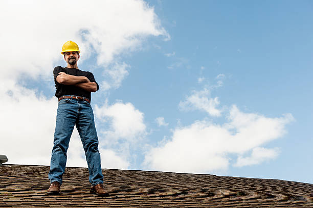 Sealant for Roof in Burt, MI