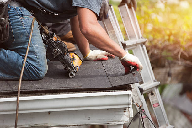Best Roof Repair Services  in Burt, MI