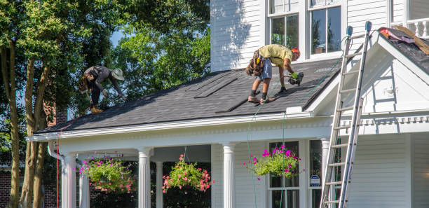 Best Flat Roof Repair Services  in Burt, MI